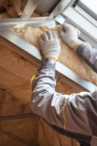 Best Insulation Materials and Products in Morenci, AZ